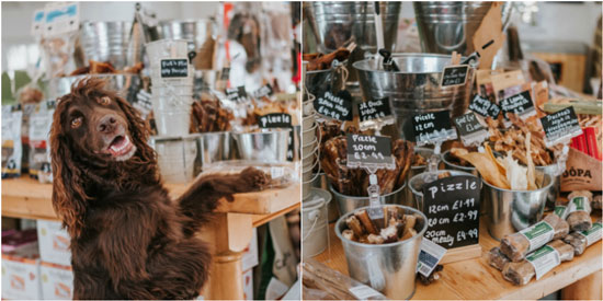 Tiendas de perros Tiendas de perros