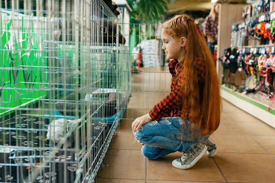 Tiendas de animales en Sevilla Tiendas de animales en Sevilla