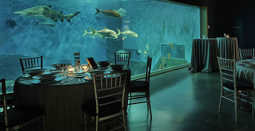 Seville aquarium Seville aquarium